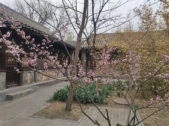 中式經(jīng)典四合院